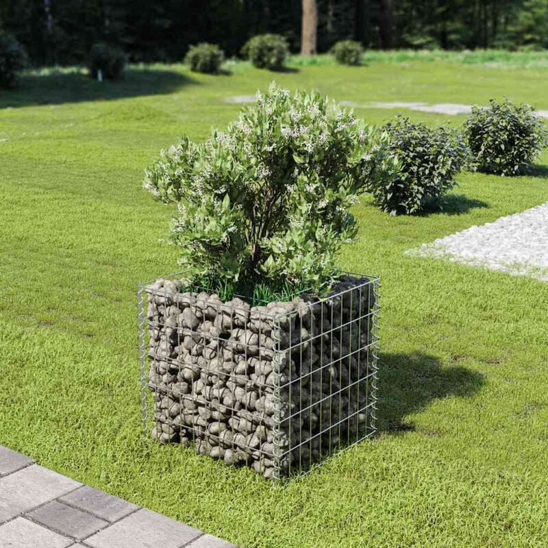 foto del prodotto vidaxl gabbione letto rialzato in acciaio zincato 50x50x50 cm