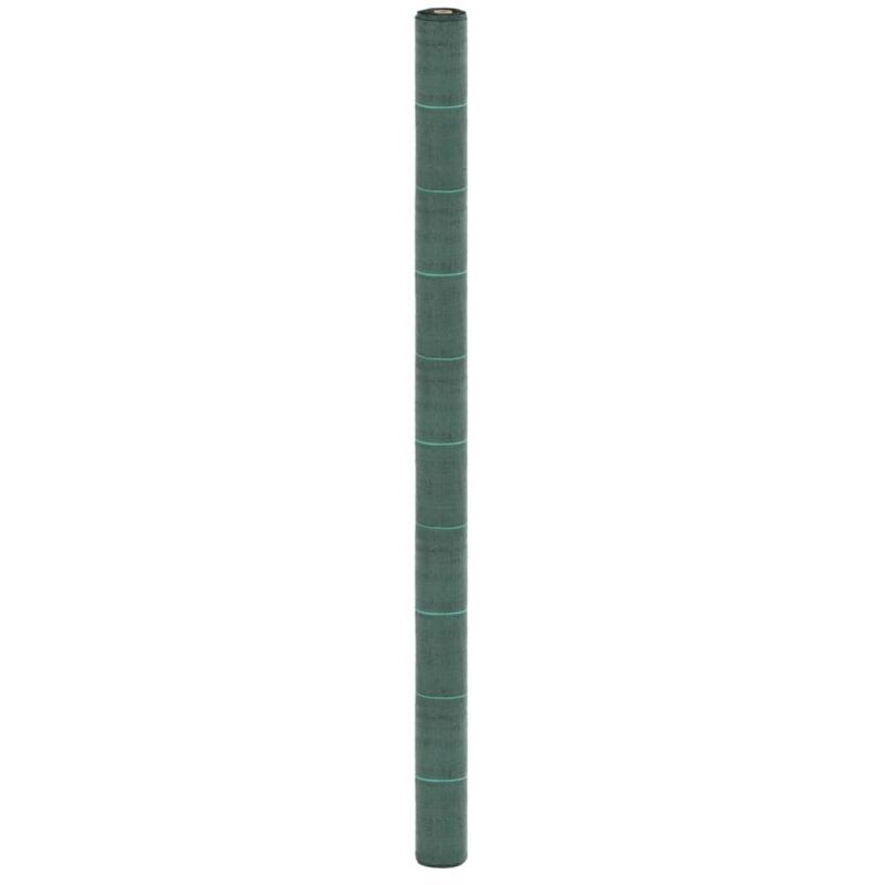 foto del prodotto vidaxl membrana antierbacce verde 2x10 m in pp