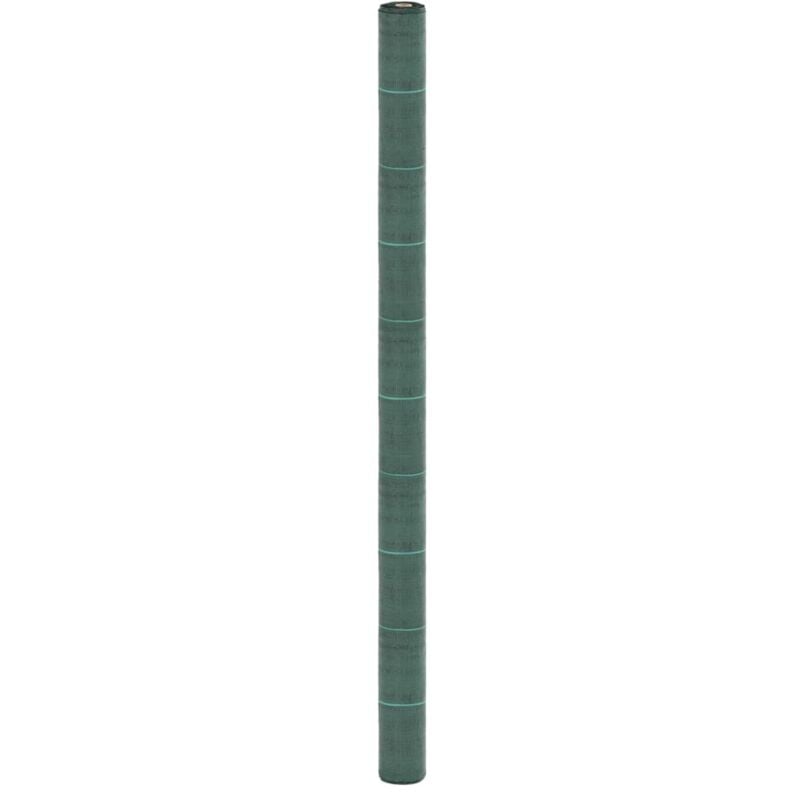 foto del prodotto vidaxl membrana antierbacce verde 2x50 m in pp