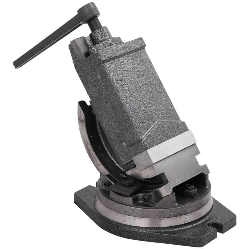 foto del prodotto vidaxl morsa inclinabile a 2 assi in ghisa 0 90 gradi grigia varie dimensioni dimensioni 100 mm