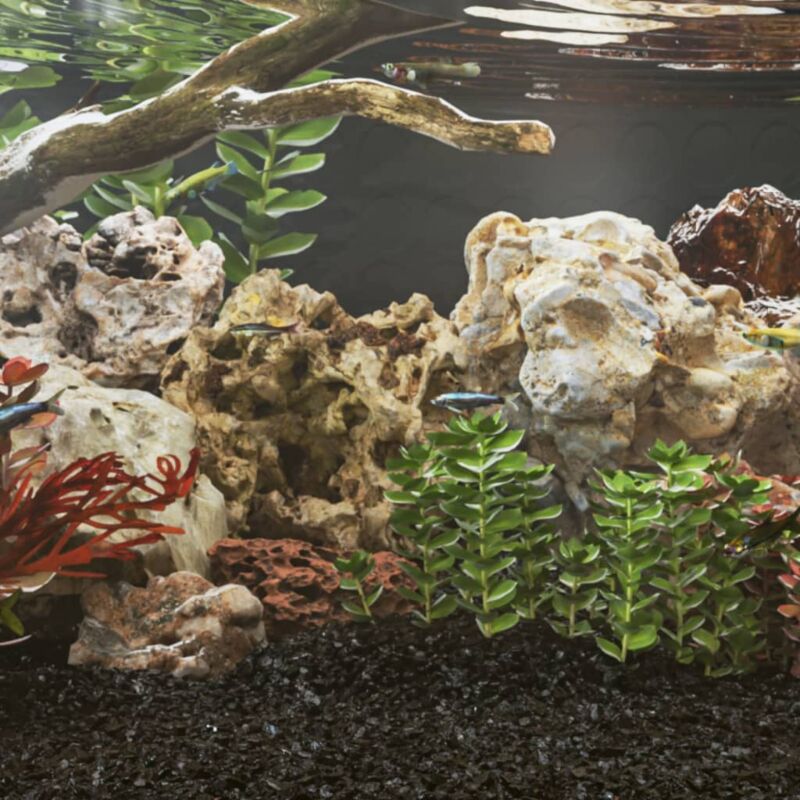 foto del prodotto vidaxl pietre del drago 25 kg colori misti 10 30 cm