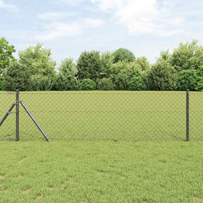 foto del prodotto vidaxl recinzione a rete metallica grigio 10 x 0.6 m acciaio