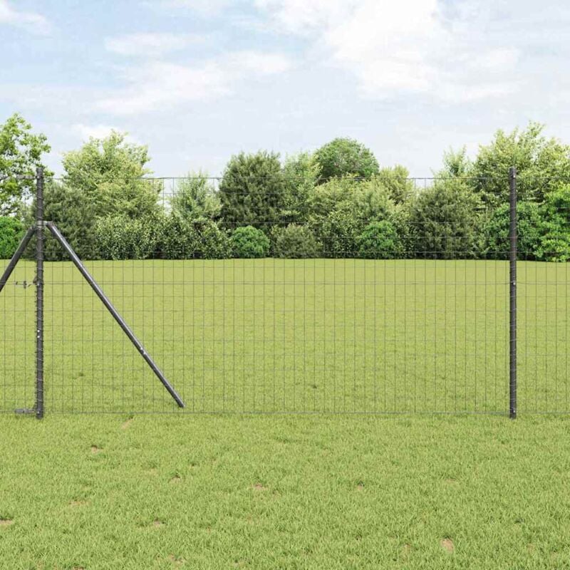 foto del prodotto vidaxl recinzione euro grigia 1x10 m acciaio