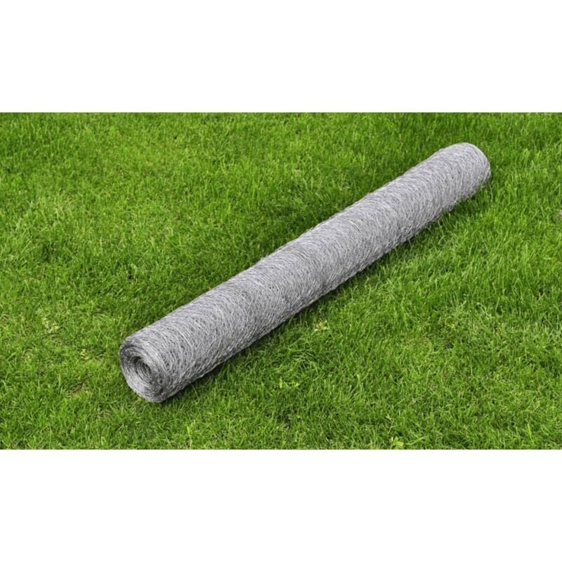 foto del prodotto vidaxl recinzione in rete per pollaio acciaio zincato 25x1 m argento