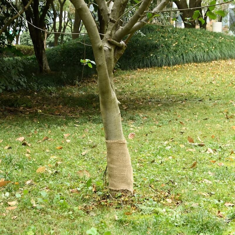 foto del prodotto vidaxl rotolo in iuta 0,25x25 m 100 iuta 200 gsm
