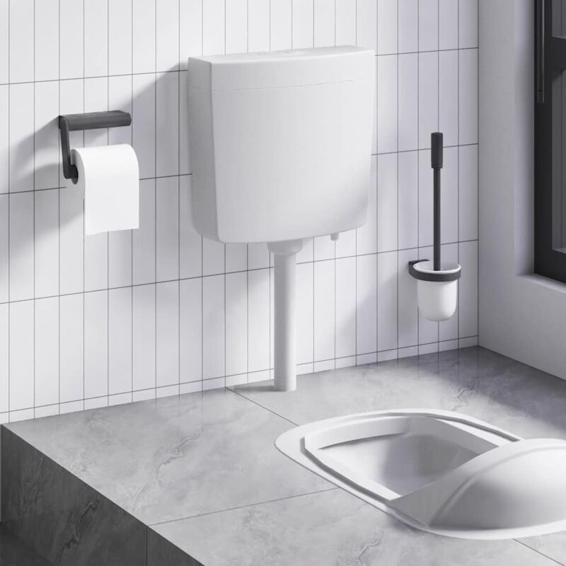 foto del prodotto vidaxl sciacquone per wc stile classico con 2 pulsanti 3 6 l disponibili vari colori colore grigio