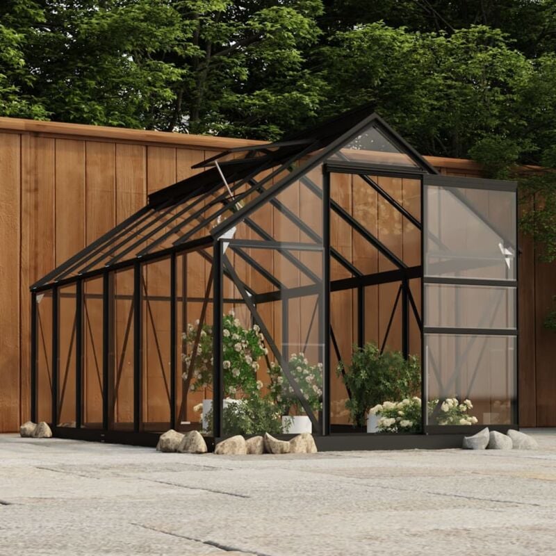 foto del prodotto vidaxl serra in vetro antracite 155x298x191 cm con telaio in alluminio