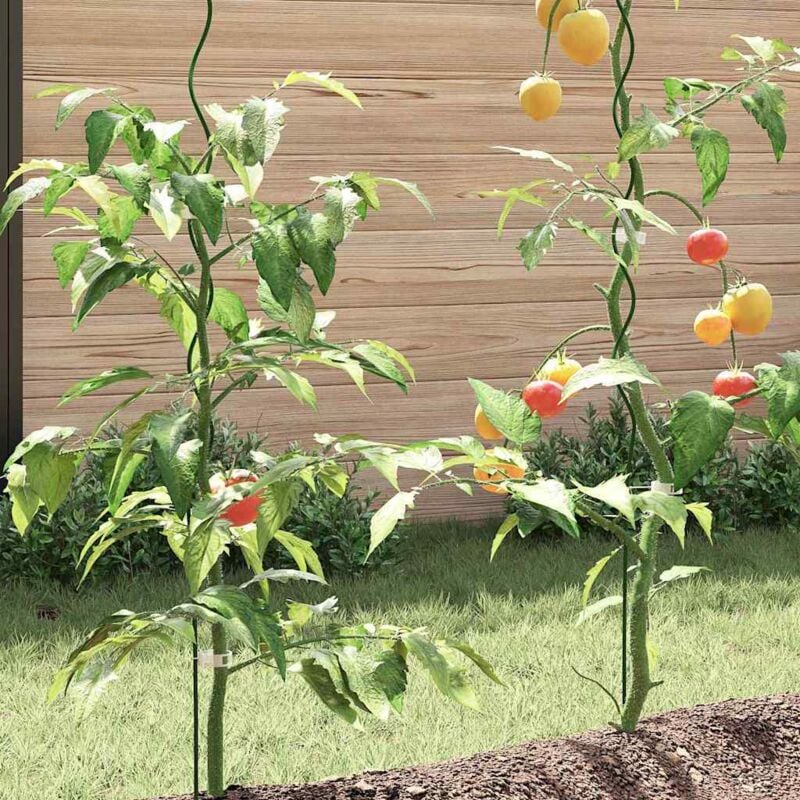 foto del prodotto vidaxl supports per piante a spirale 20 pz 170 cm acciaio