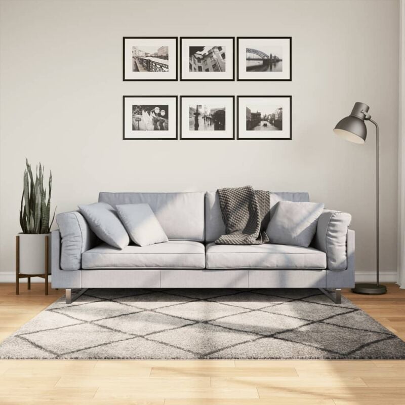 foto del prodotto vidaxl tappeto shaggy pamplona pelo lungo beige e antracite 160x160 cm