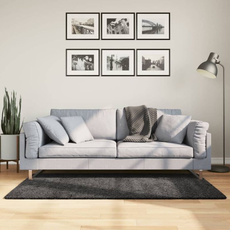 foto del prodotto vidaxl tappeto shaggy pamplona pelo lungo moderno antracite 120x170cm
