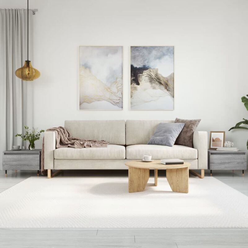 foto del prodotto vidaxl tavolini salotto 2pz grigio sonoma 50x46x35cm legno multistrato