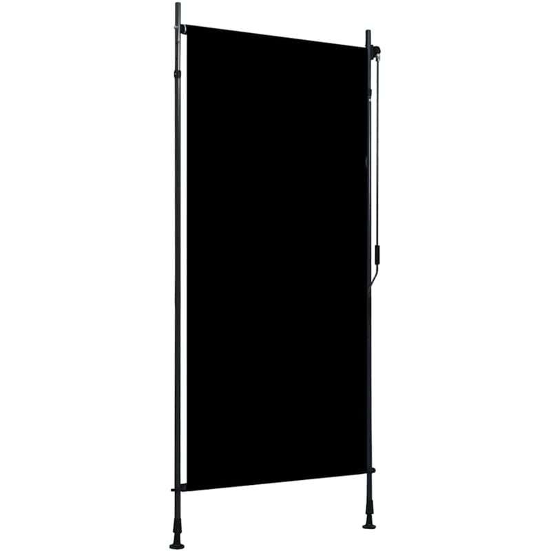foto del prodotto vidaxl tenda a rullo per esterni 100x270 cm antracite