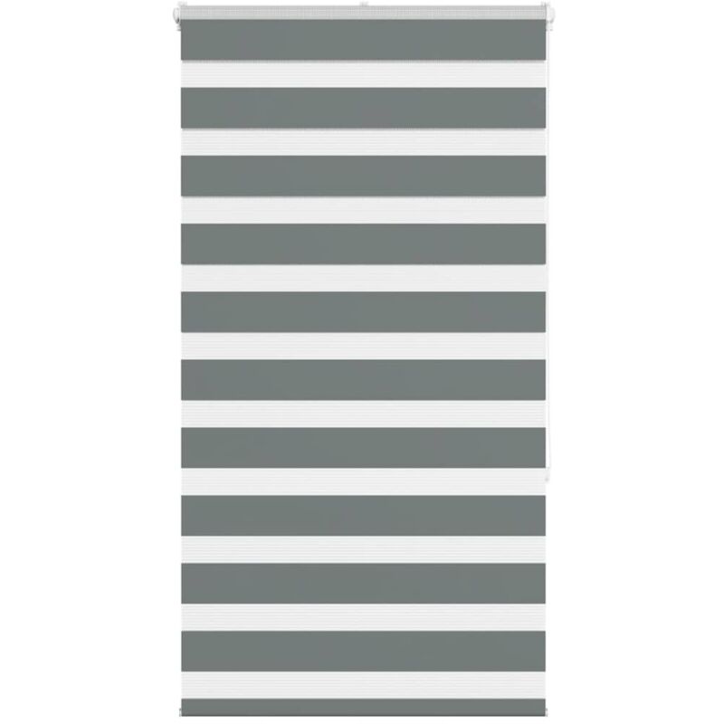 foto del prodotto vidaxl tenda a rullo zebra larghezza tessuto 65,9 cm poliestere