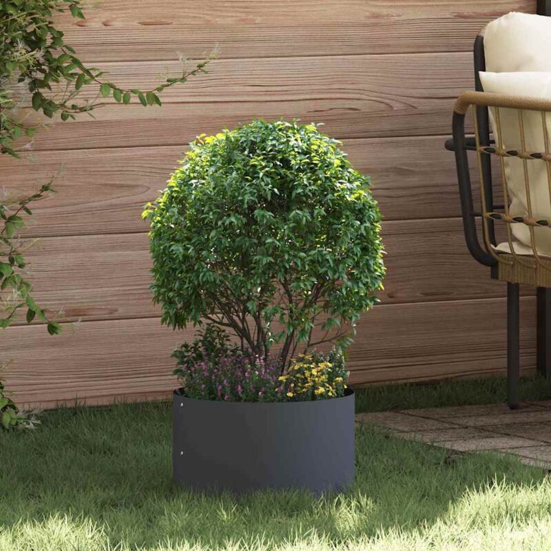 foto del prodotto vidaxl vaso da giardino antracite 30x30x20 cm in acciaio di