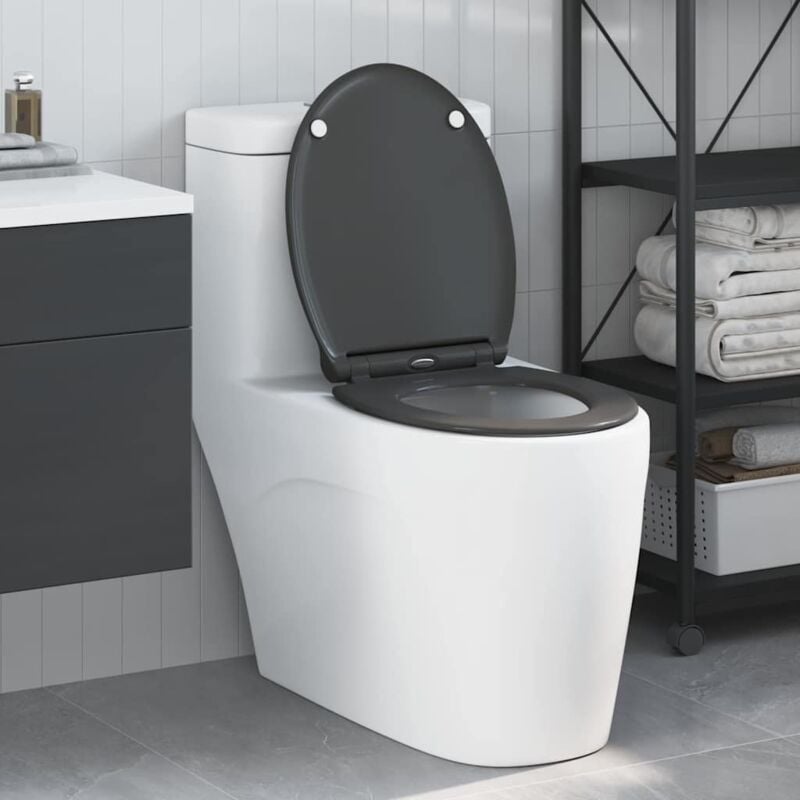 foto del prodotto vidaxl wc a rilascio rapido adatto per il sedile antracite