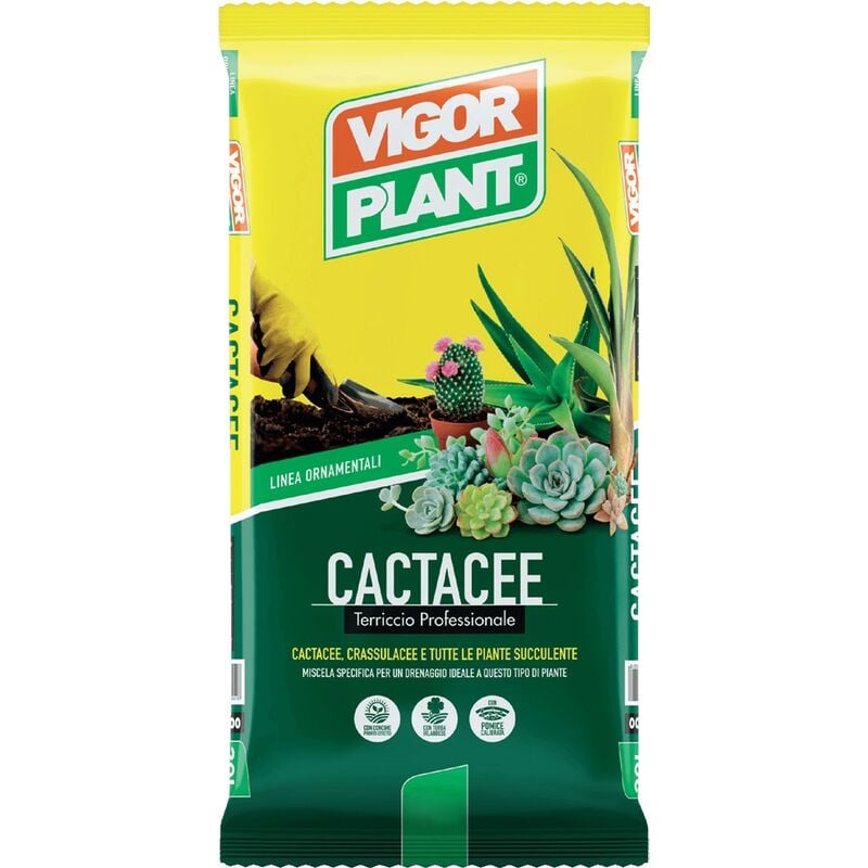 foto del prodotto vigorplant terriccio cactacee 5 litri