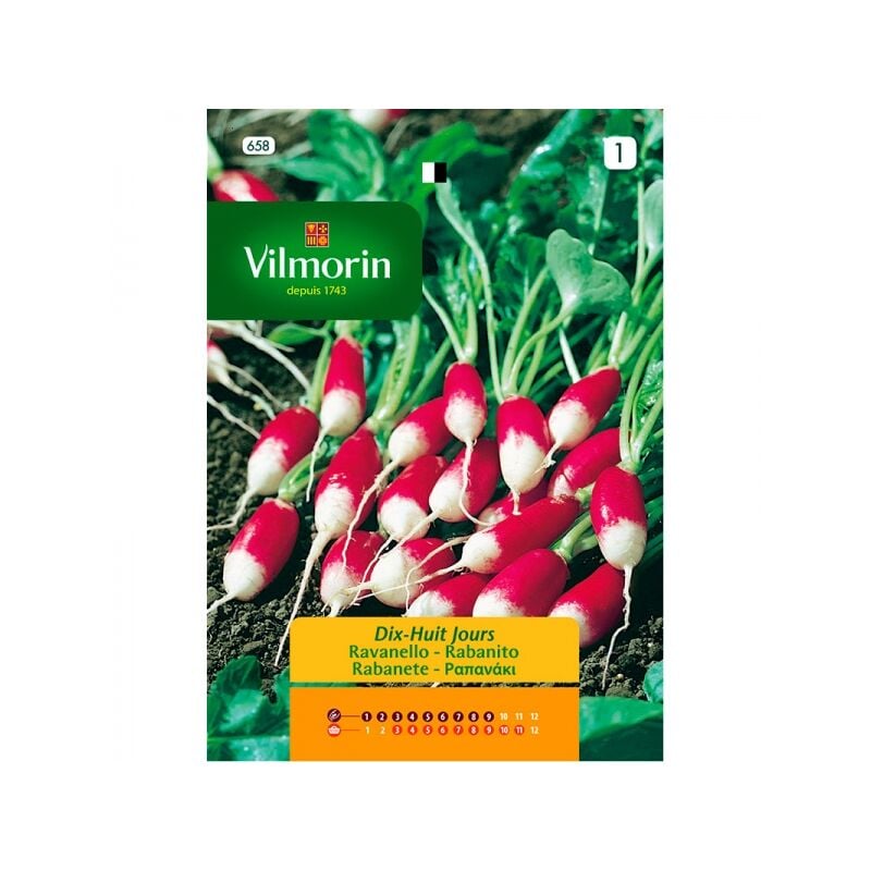 foto del prodotto vilmorin rabanito seeds dix huit jours s 1 658, 12 gr