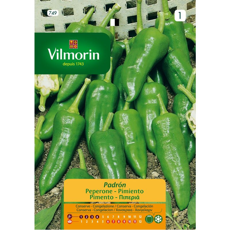 foto del prodotto vilmorin semi di pepe vilmorrin padron s 1 749, 0,3 gr