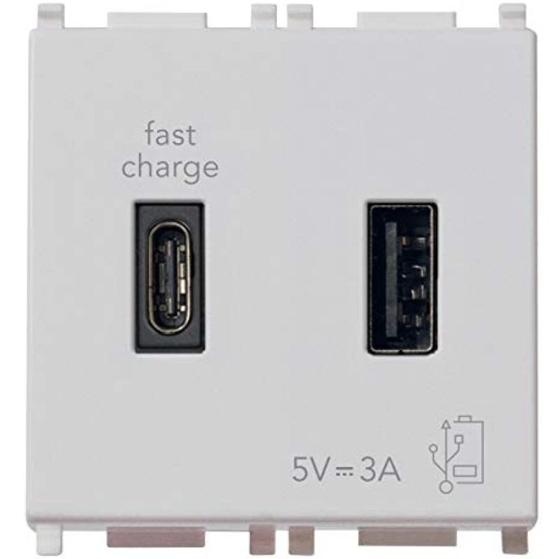 foto del prodotto vimar 14295.ac.sl plana presa usb 5 v 3 a, 1 uscita usb tipo a e 1 tipo c, erogano complessivamente 3 a per caricare un dispositivo fino a 3 a o