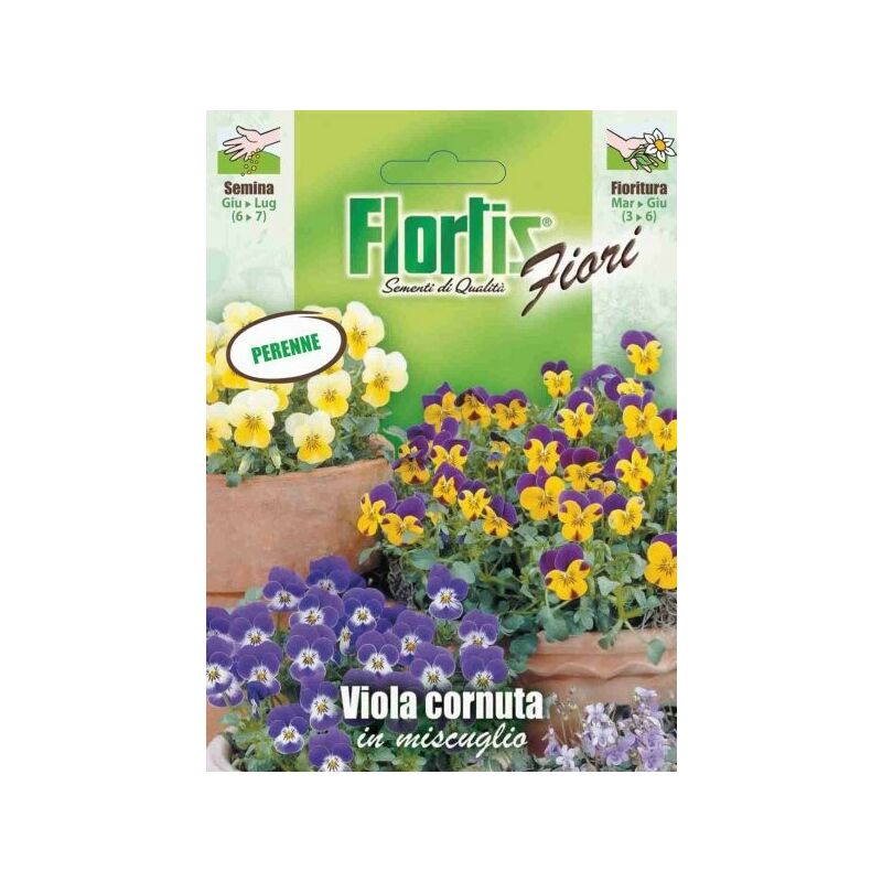 foto del prodotto viola cornuta mix