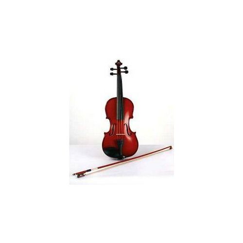 foto del prodotto violino eko student ebv 1412