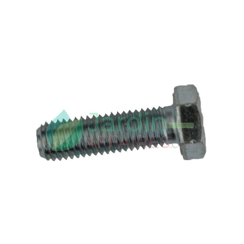 foto del prodotto vis uni 5739 m 12 x 40 delmorino 40100023
