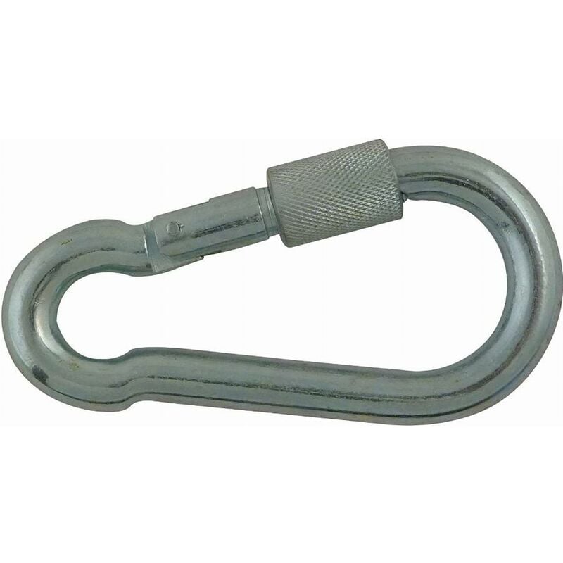 foto del prodotto viso moschettone alpino a vite in acciaio zincato 10 x l.100 mse10e