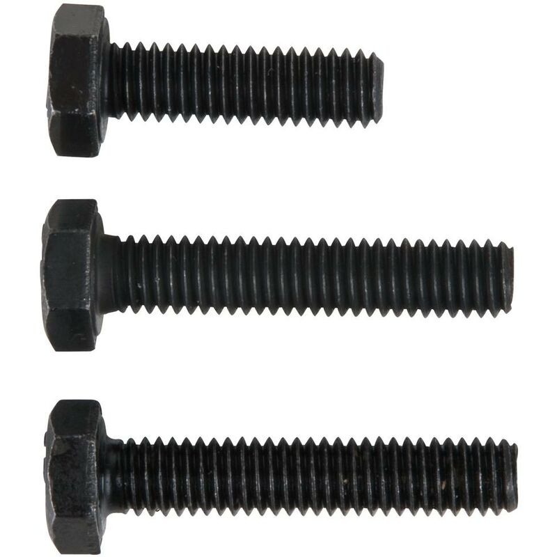 foto del prodotto vite 2 x m6x30mm 1 x m6x20mm