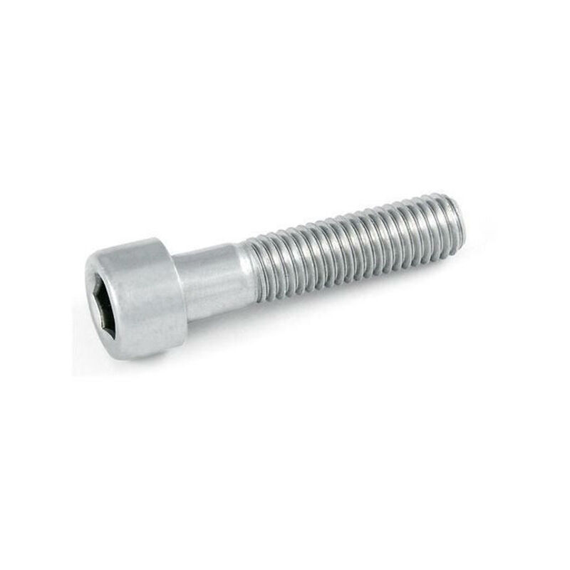 foto del prodotto vite a testa cilindrica con cava esagonale m8 x 25 mm