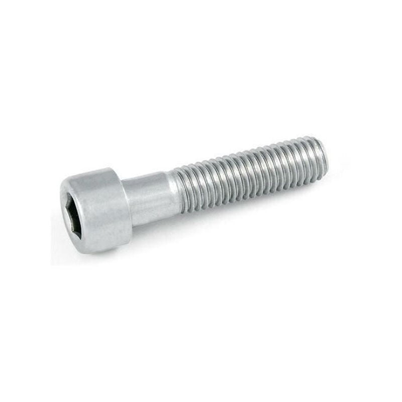 foto del prodotto vite a testa cilindrica con cava esagonale m8 x 30 mm