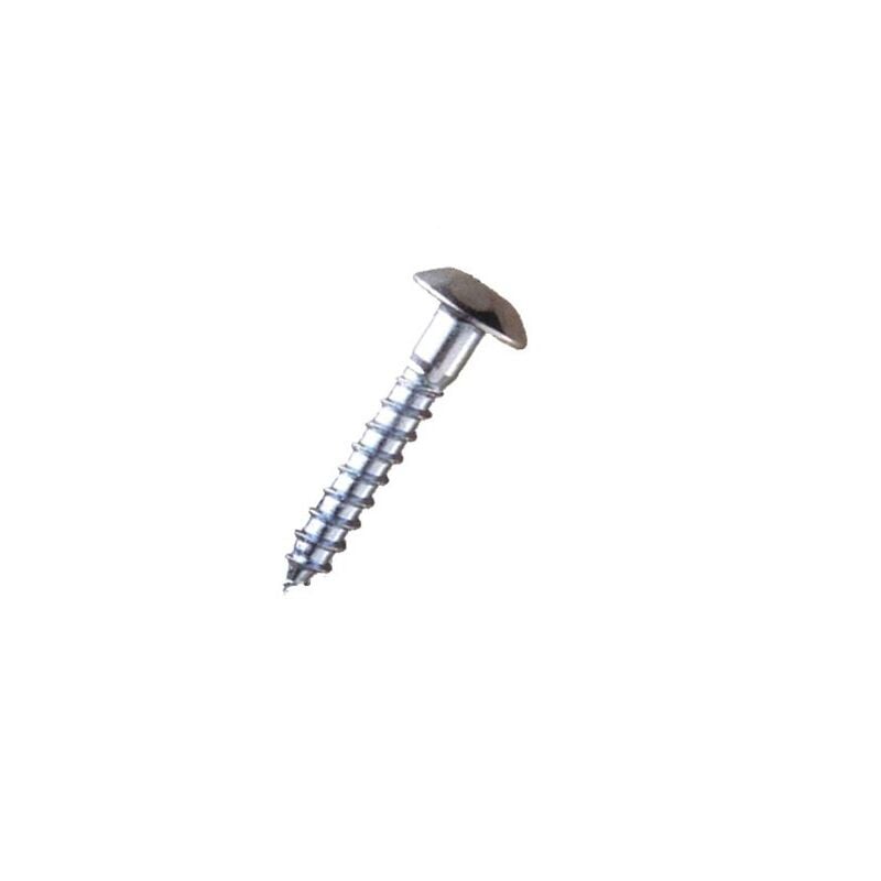 foto del prodotto vite antimanomissione zincata avl 6 x 70