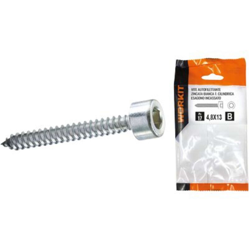 foto del prodotto vite autofilettante tcce self workit zincata bianca mm 4,8x25 cf pz 15 5 confezione