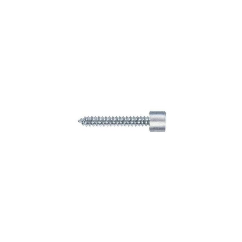 foto del prodotto vite autofilettante zincata tc con esagono incassato mm. 4,8x38 2 ct friulsider