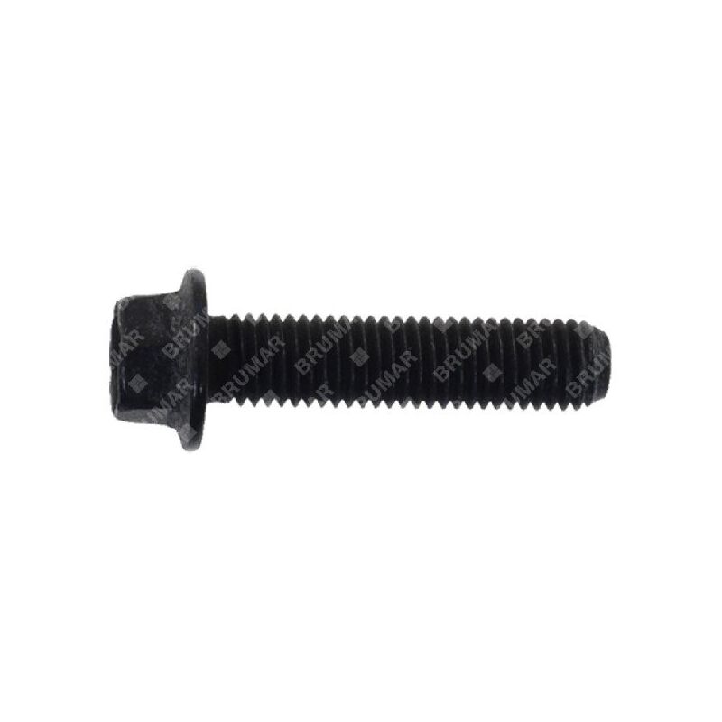 foto del prodotto vite biella briggs stratton 691664 compatibile 050467