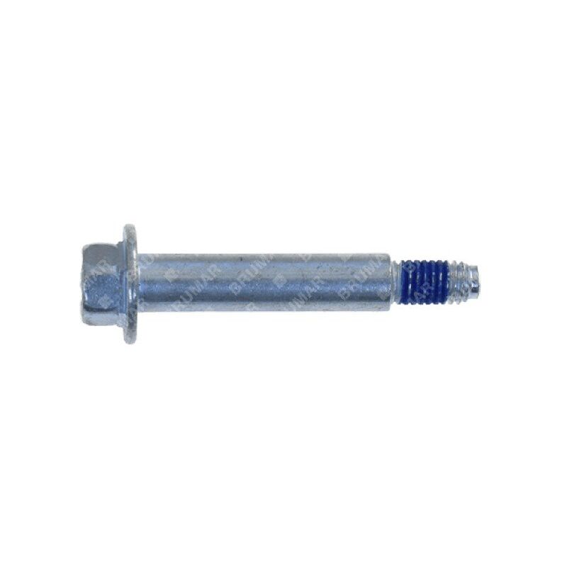 foto del prodotto vite briggs stratton 690255 compatibile 056386