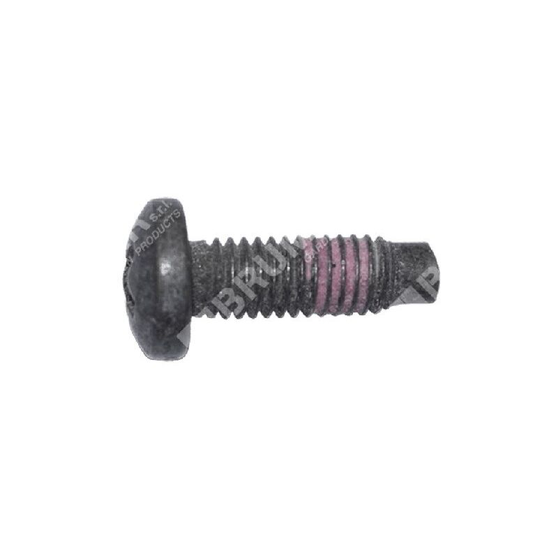 foto del prodotto vite briggs stratton 790029 compatibile 047269