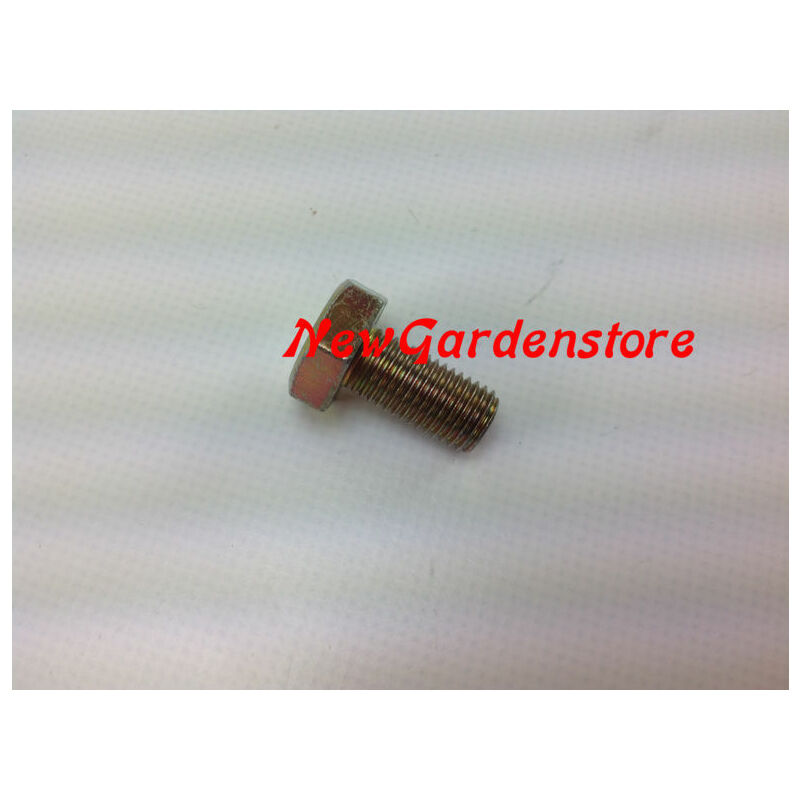 foto del prodotto vite bullone per decespugliatore 270138 10x1,25 sx