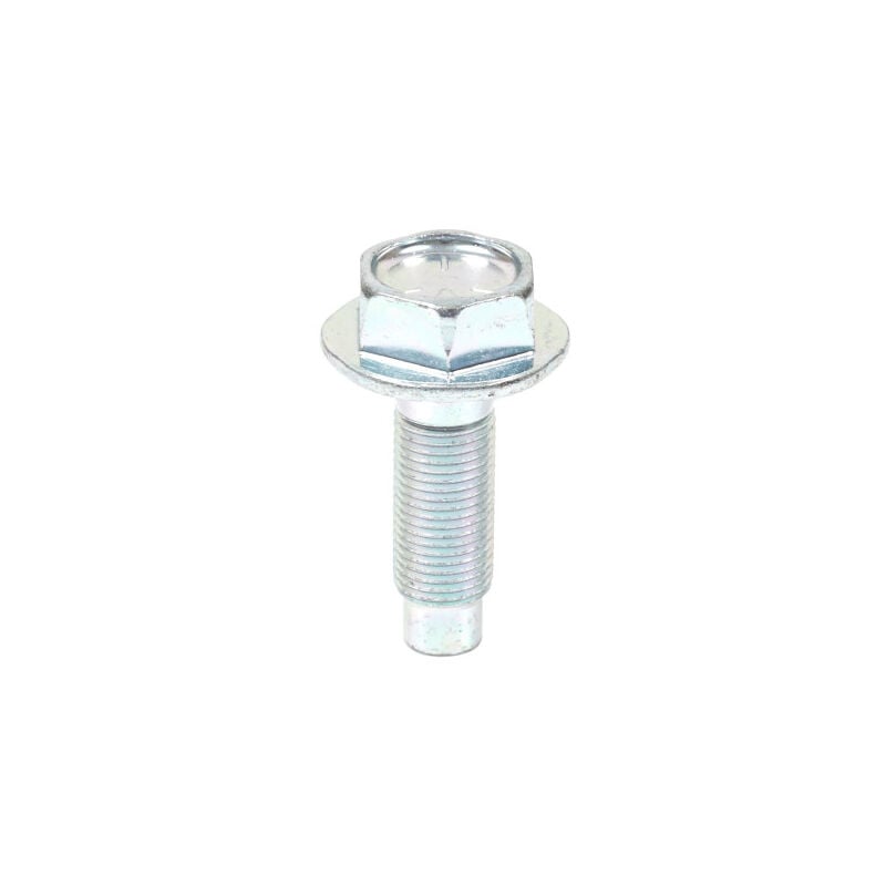 foto del prodotto vite bullone volano originale briggs stratton motore trattorino 698139 691658