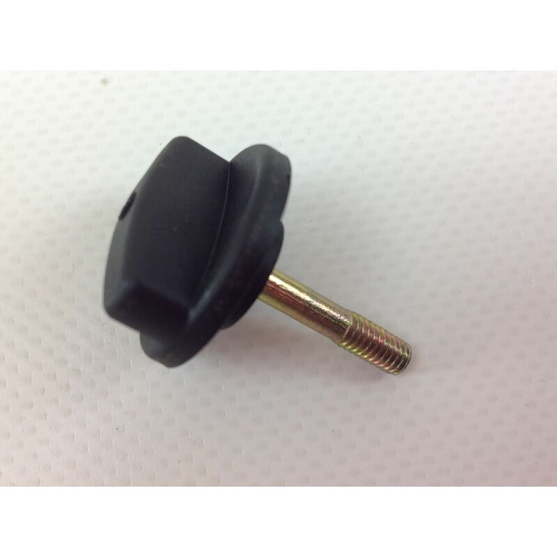 foto del prodotto vite chiusura filtro aria per motore blue bird c26 1e34fl