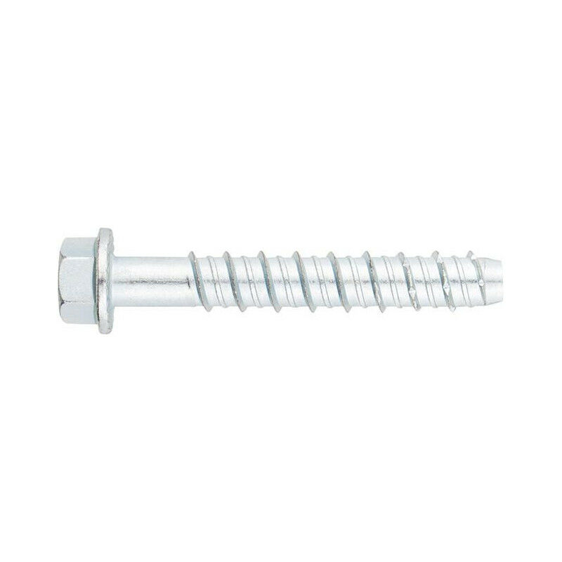 immagine 0 del prodotto vite di cemento zn testa esagonale 8 x 55 per 50 
