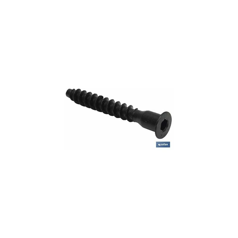 foto del prodotto vite di montaggio nera 7 x 50, blister 6 unit 