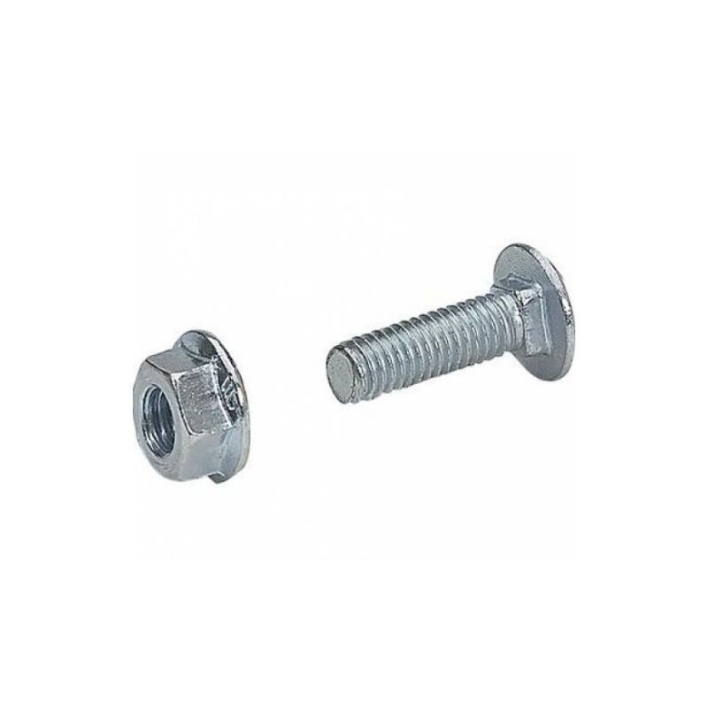 foto del prodotto vite e dado btrcc 6x20mm, finitura ez