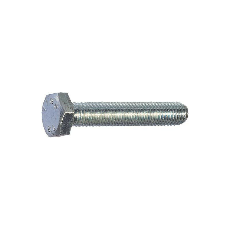 foto del prodotto vite esagonale sks 8x16 per 100 