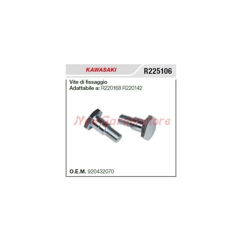 foto del prodotto vite fissaggio frizione kawasaki decespugliatore td40 td70 r225106
