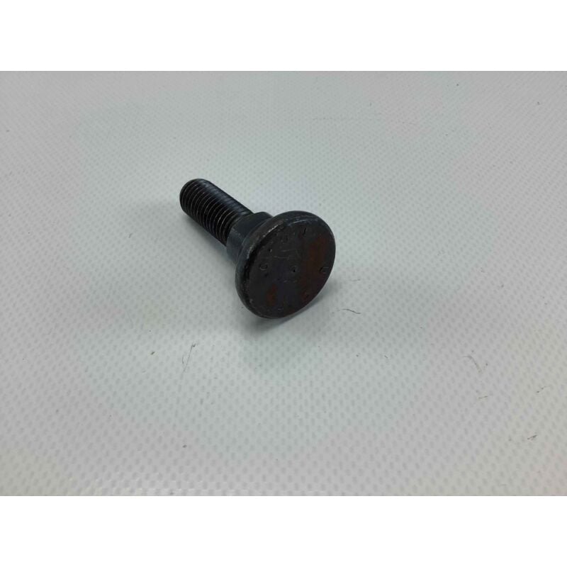 foto del prodotto vite fissaggio lame oscillanti originale gianni ferrari 01.40.00.1000