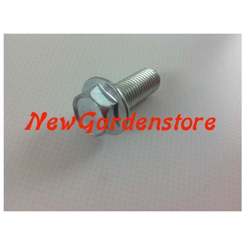 foto del prodotto vite lama bullone trattorino rasaerba tagliaerba 10 25 mm honda 170243
