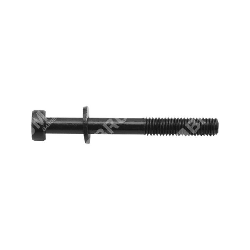 foto del prodotto vite marmitta zmg4302 5302 m6x55 compatibile 049916