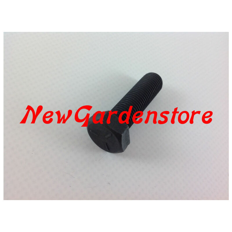 foto del prodotto vite mozzo lama bullone sinistra trattorino rasaerba tagliaerb 3 8 32 mm 170241