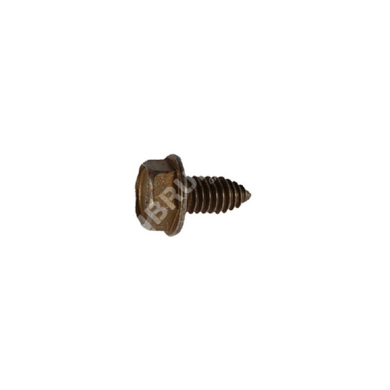 foto del prodotto vite mtd 710 0604a compatibile 020716