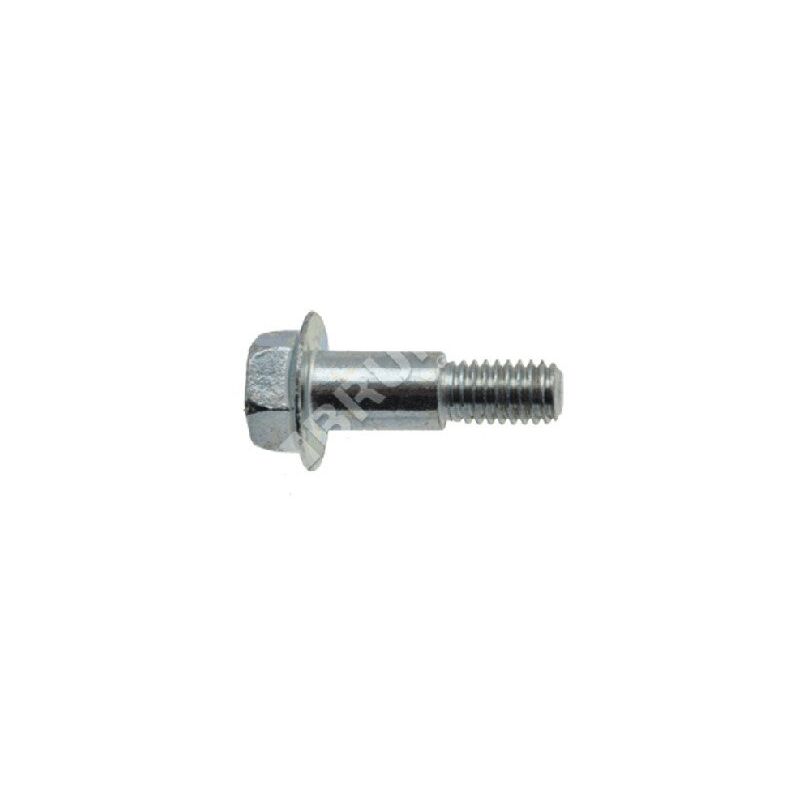 foto del prodotto vite mtd 738 04079 compatibile 021173